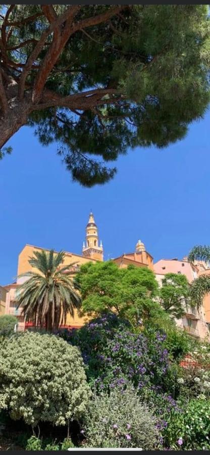Menton Centre Vue Imprenable Sur Mer Et Jardin Bioves Экстерьер фото